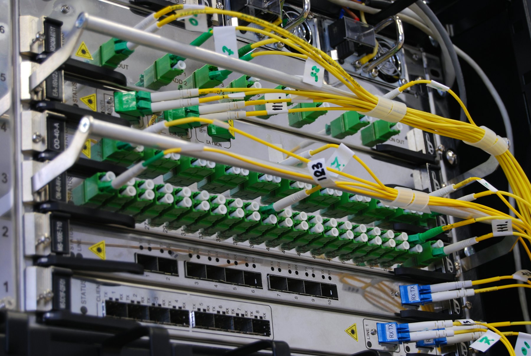 Cavi in fibra ottica collegati a uno switch